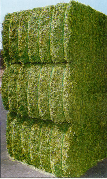 Alfalfas J. Osés Resano, S.A Imagen_1 Alfalfas J. Osés Resano, S.A