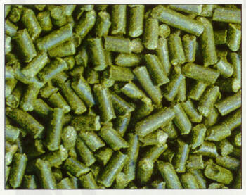 Alfalfas J. Osés Resano, S.A Imagen_2 Alfalfas J. Osés Resano, S.A