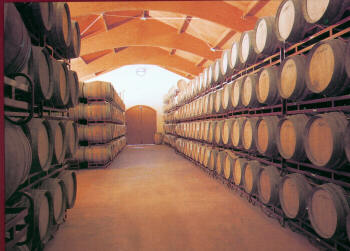 Bodega Virgen Blanca, S. Coop. Imagen_2 Bodega Virgen Blanca, S. Coop.