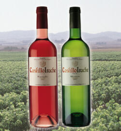 Bodegas Irache, S.L. Imagen_2 Bodegas Irache, S.L.