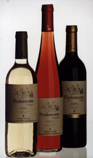 Bodegas Piedemonte, S. Coop. Imagen_2 Bodegas Piedemonte, S. Coop.