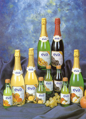 Envasados Eva, S.A. Imagen_2 Envasados Eva, S.A.