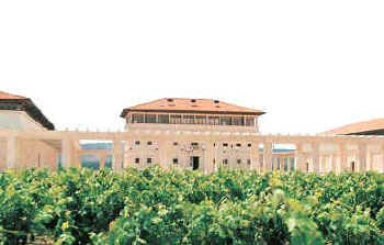Rioja Vega, S:A Imagen_1 Rioja Vega, S:A