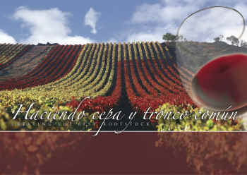 Viveros Vidancom SL Imagen_2 Viveros Vidancom SL