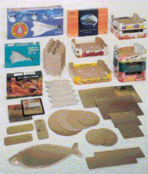 Videcart, S.A. Imagen_1 Videcart, S.A.